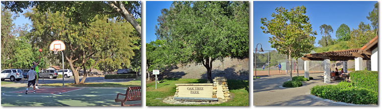 oak tree park
